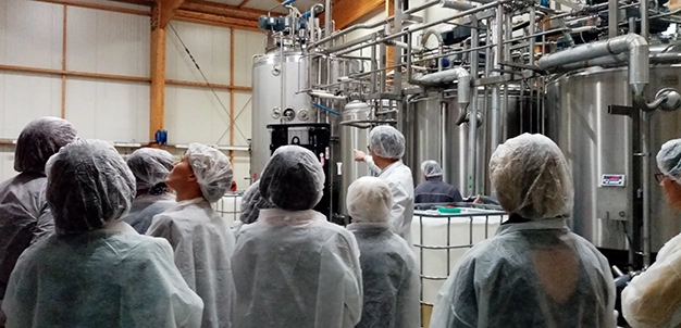 Chaîne de fabrication et de conditionnement